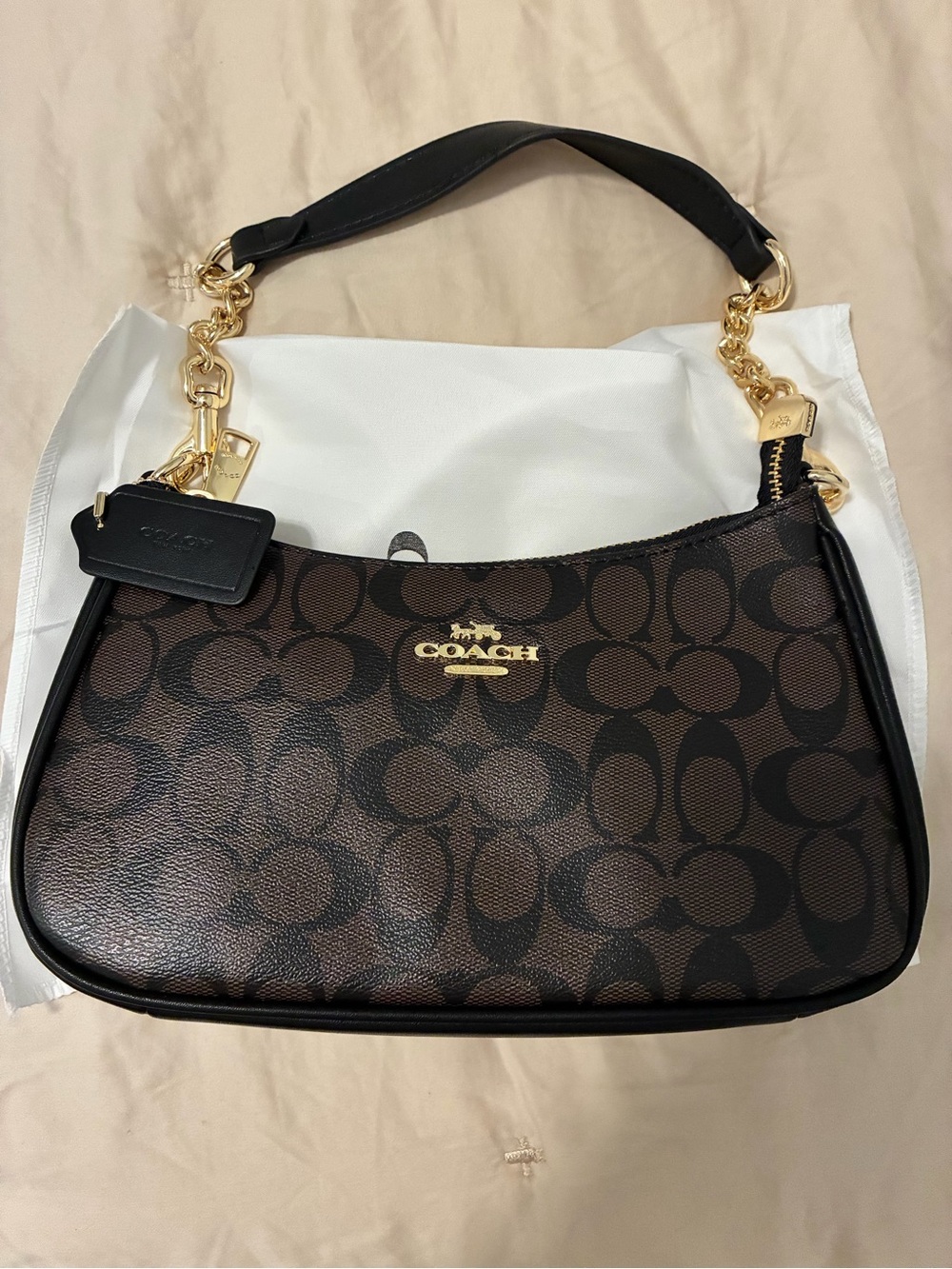 Coach Teri Shoulder Bag in Signature Canvas